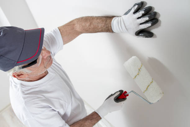 Best Water Damage & Mold Remediation  in Derby, CT