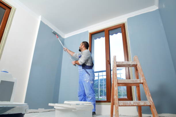 Mold Documentation for Insurance Claims in Derby, CT