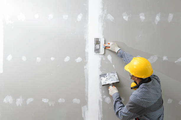 Best Industrial Mold Remediation  in Derby, CT