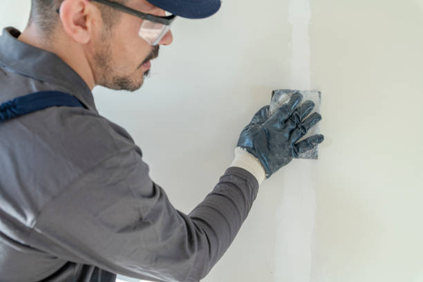 Mold Odor Removal Services in Derby, CT