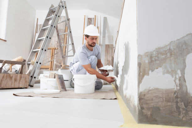 Best Black Mold Removal  in Derby, CT