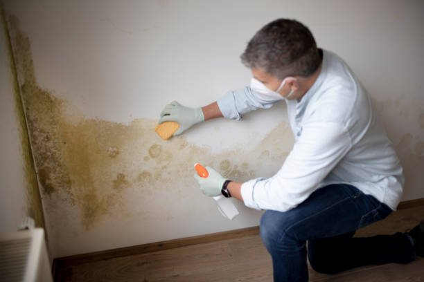 Best Biohazard Mold Removal  in Derby, CT