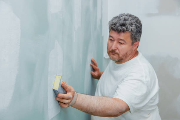 Best Mold Odor Removal Services  in Derby, CT