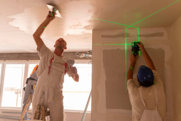 Best Mold Odor Removal Services  in Derby, CT