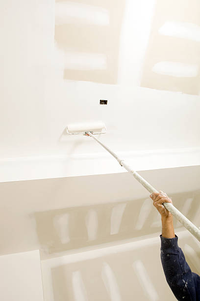 Derby, CT Mold Removal Company