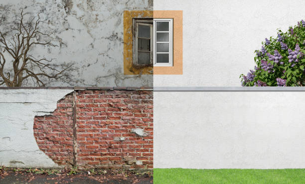 Best Emergency Mold Remediation  in Derby, CT