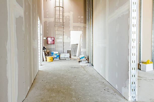Asbestos and Lead Testing During Mold Inspection in Derby, CT