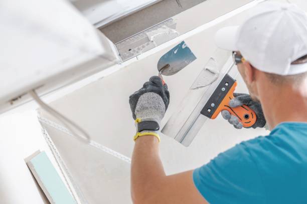 Professional Mold Removal in Derby, CT